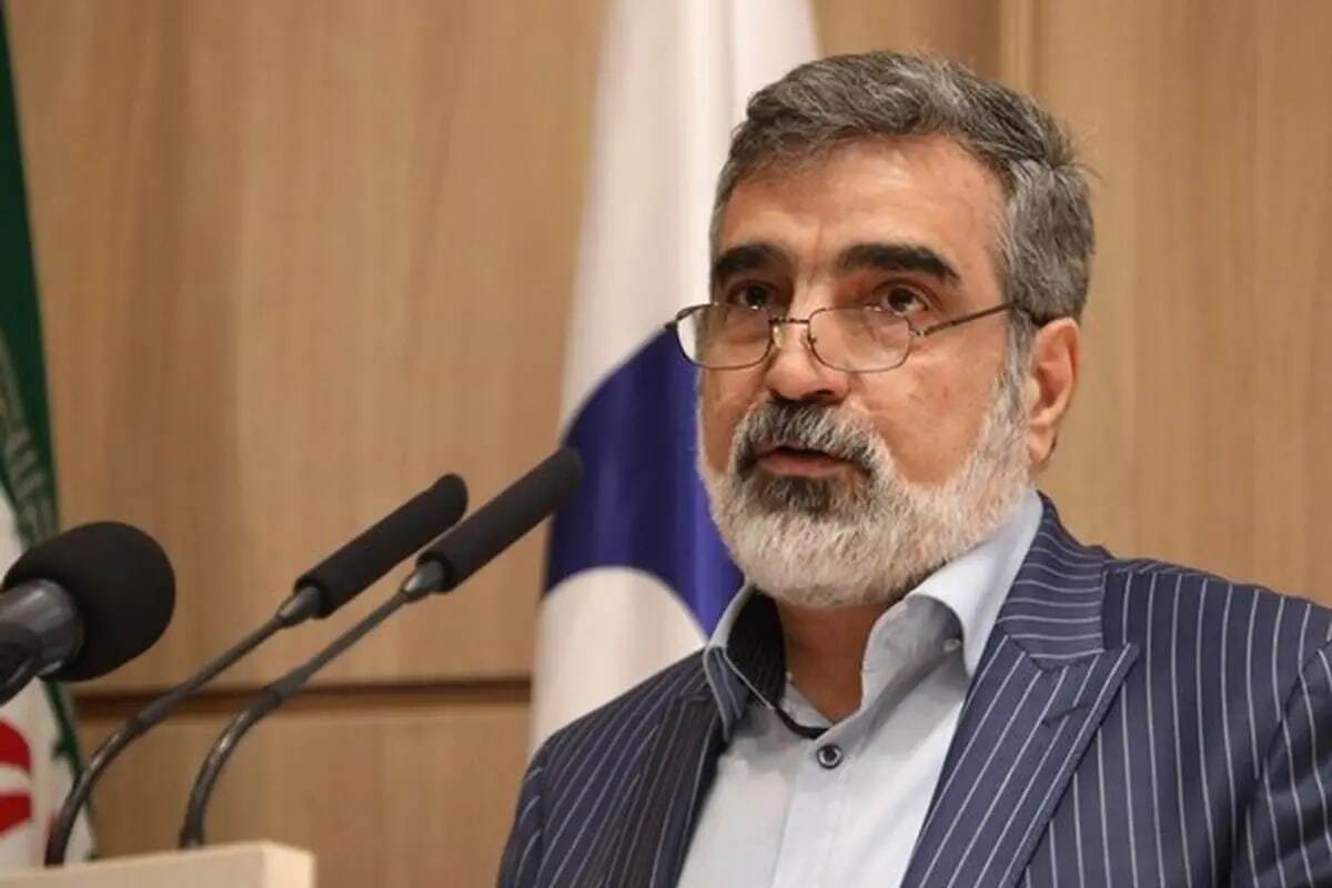 معاون سازمان انرژی اتمی: زلزله تاثیری بر تاسیسات  نطنز نداشت